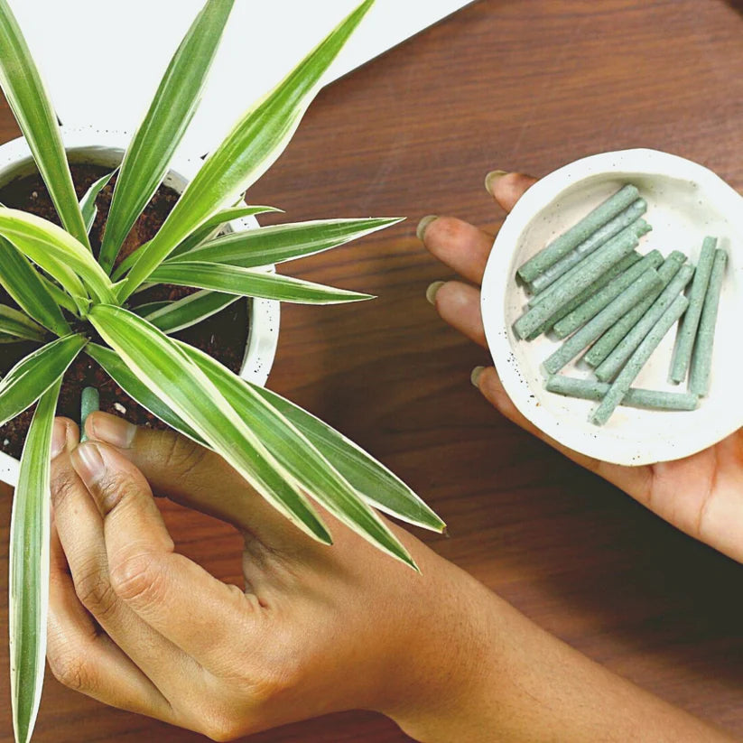 Plant Grow Fertilizer Sticks For Plants - 25 Stick Pack of 2