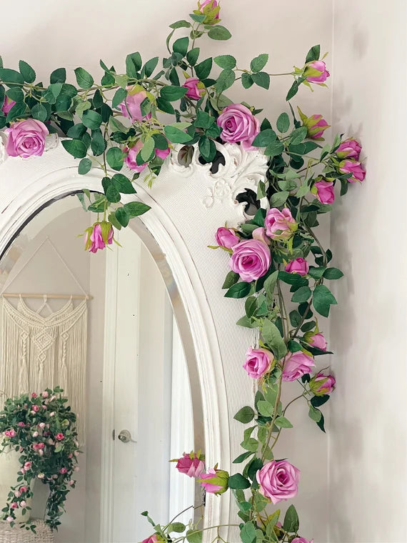 Elegant Climbing Rose Flower Seeds